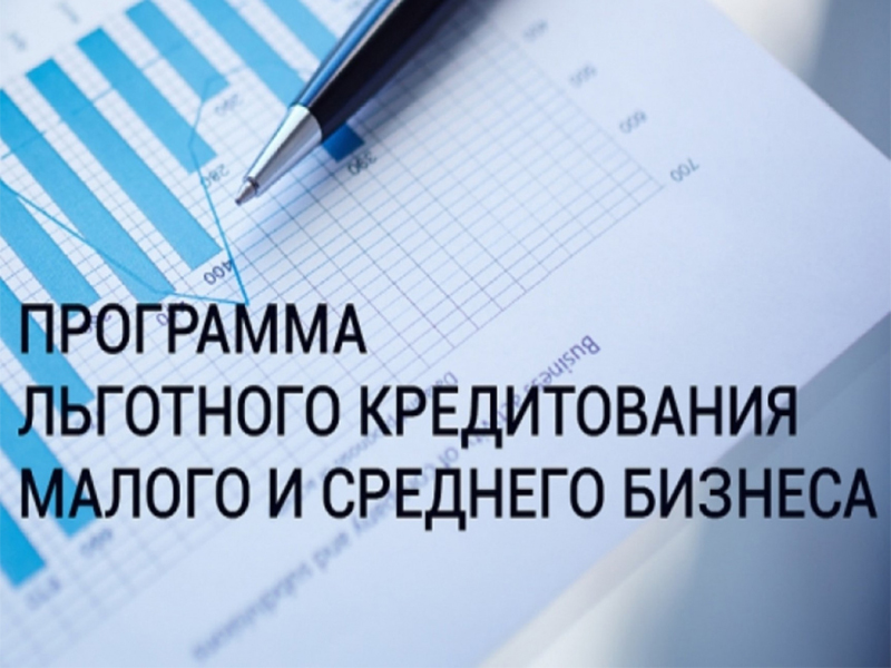 Более 8 млрд. рублей льготных займов  выдали предпринимателям Ставрополья.