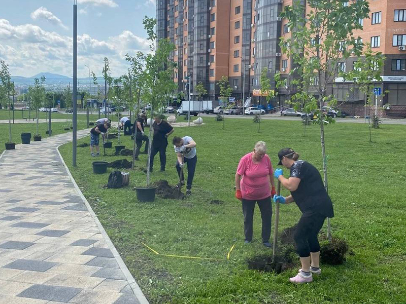В Ессентуках отмечают День эколога высадкой новых деревьев.