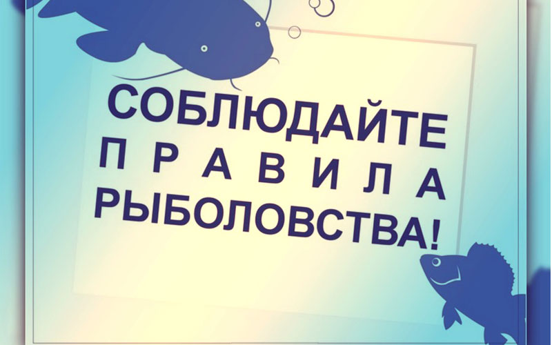 Правил рыболовства для Азово-Черноморского рыбохозяйственного бассейна.