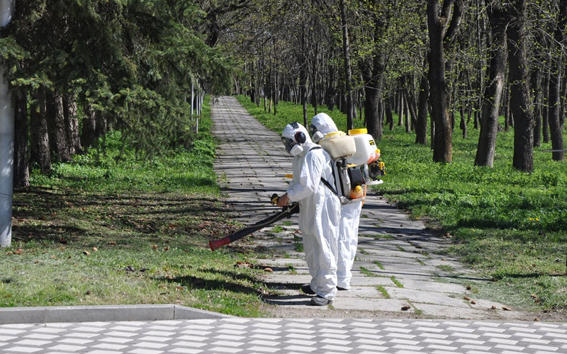 В Ессентуках начали проводить энтомологическое обследование зеленых зон.