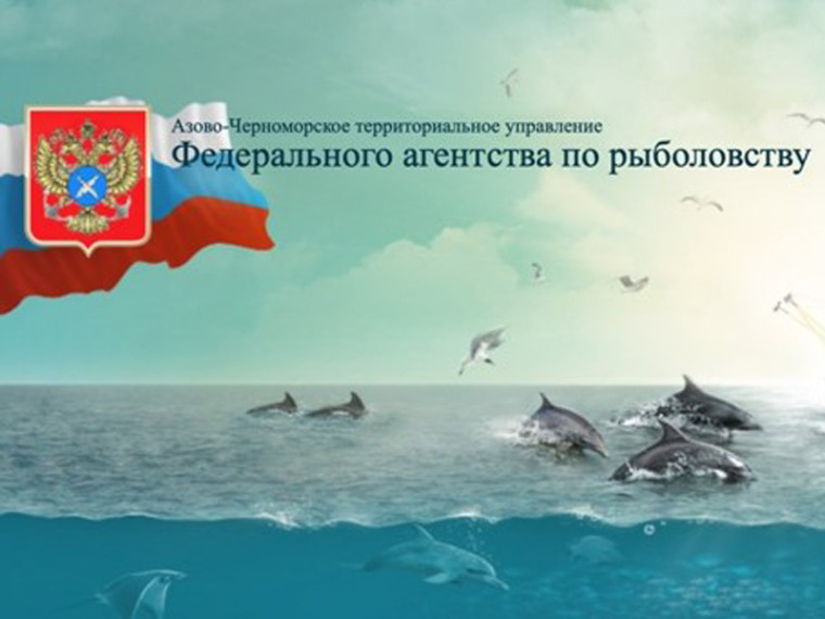 Основные правила рыболовства для Азово-Черноморского рыбохозяйственного бассейна. Основные правила рыболовства для Азово-Черноморского рыбохозяйственного бассейна.