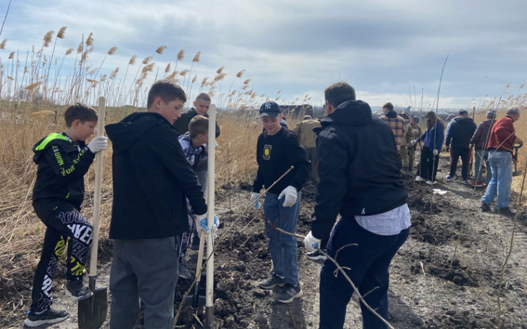 В Ессентуках высадили сад из 600 ясеней. В Ессентуках высадили сад из 600 ясеней.